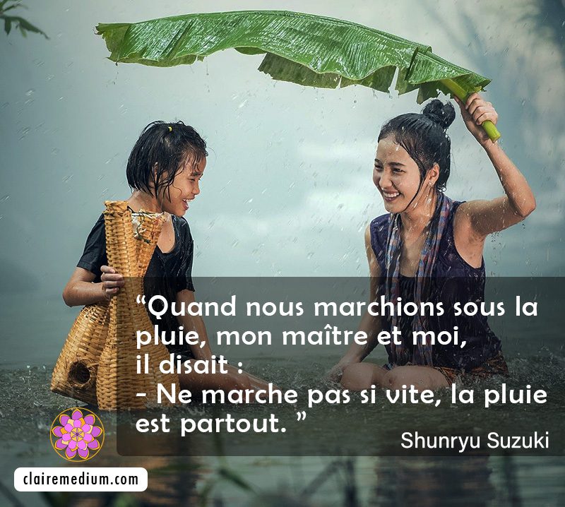 Citation De Shunryu Suzuki Claire Thomas Medium Karmatherapeute