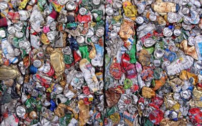 Planète : Vite, recyclons !