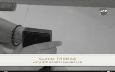 Bac 2013&nbsp;: Mes conseils pour les révisions Philo section L avec MCE