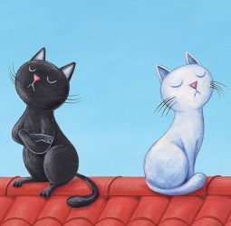 Interprétation du rêve de Nina : bataille entre 2 chats