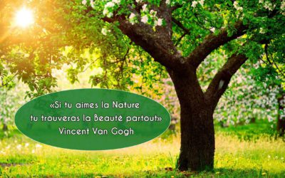 La citation du jour par Vincent Van Gogh