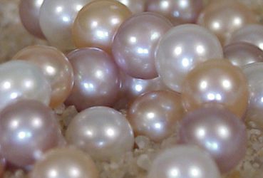 Pierres : la perle