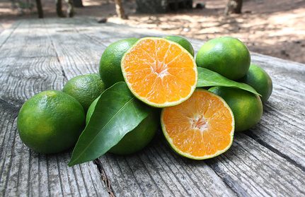 Huile essentielle de mandarine verte