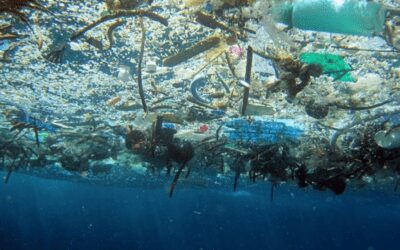 Une soupe de déchets plastiques  dans les océans