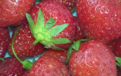 Recette : fraises