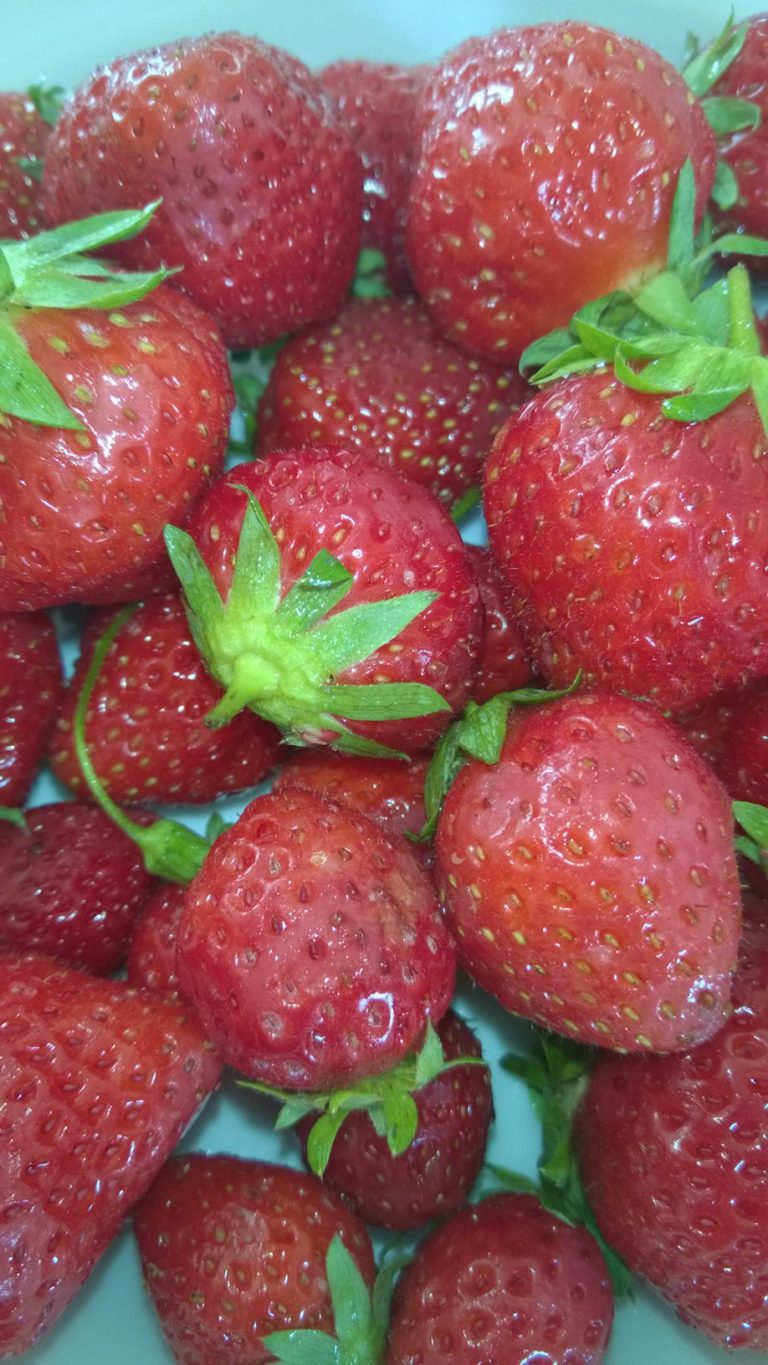 Recette : fraises