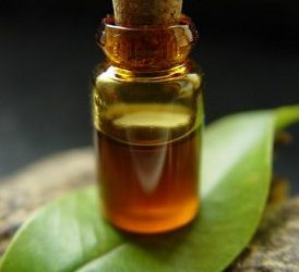7lever: L’aromathérapie