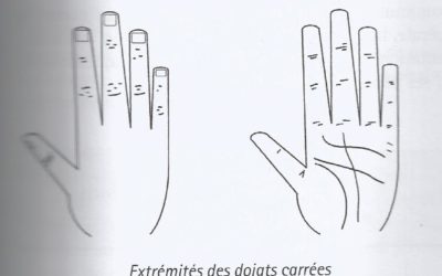 Chiromancie : les extrémités des doigts