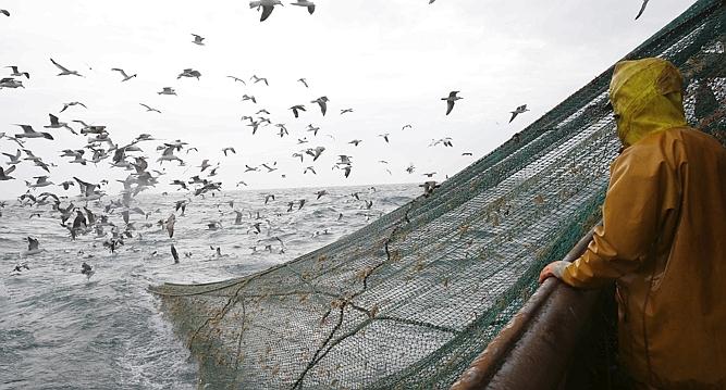 Notre planète : le scandale de la pêche en eaux profondes