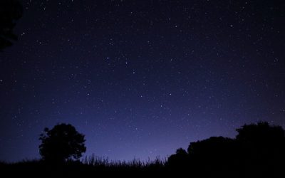 Planète : Le danger de la pollution lumineuse nocturne