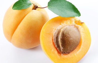 Huile essentielle de noyau d’abricot