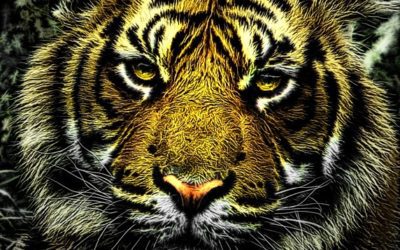 Interprétation du rêve de Fathia : Le tigre et l’argent