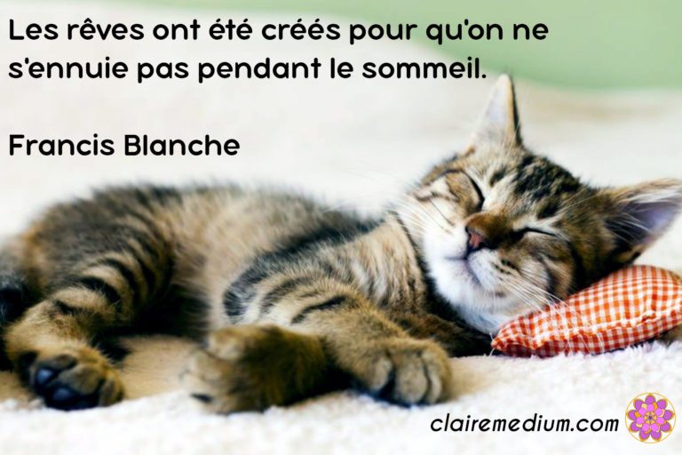 Citation de la semaine : Francis Blanche