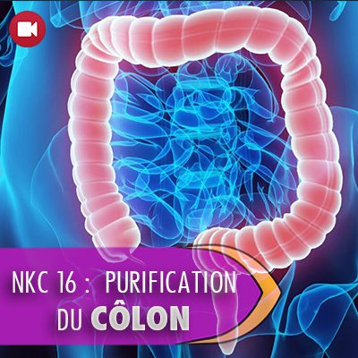 NKC 16 : Purification du côlon