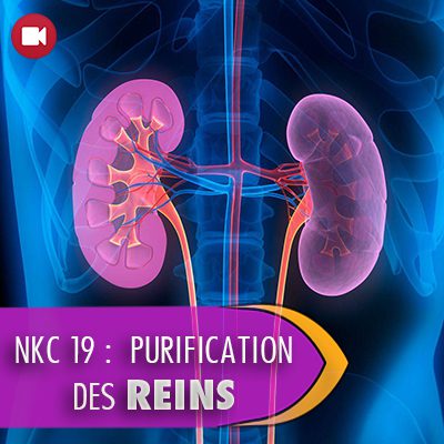 NKC 19 : PURIFICATION DES REINS