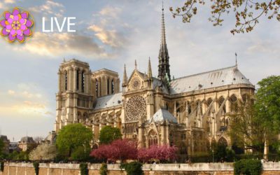 Notre Dame de Paris : la stratégie du choc