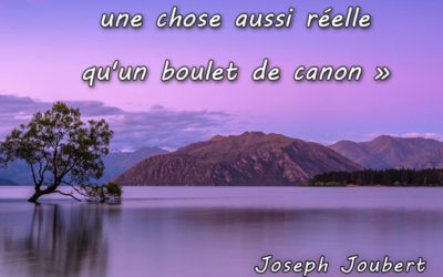 Citation : Joseph Joubert 