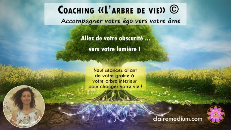 Coaching « l’arbre de vie »©