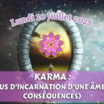 KARMA : REFUS D’INCARNATION D’UNE ÂME (les conséquences)