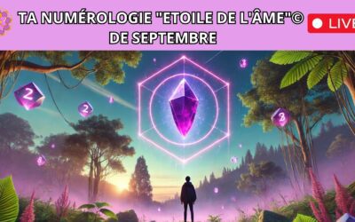 Ta numérologie « Etoile de l’âme »©