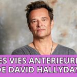 Les vies antérieures de David Hallyday